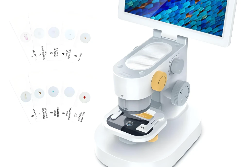 biology microscope