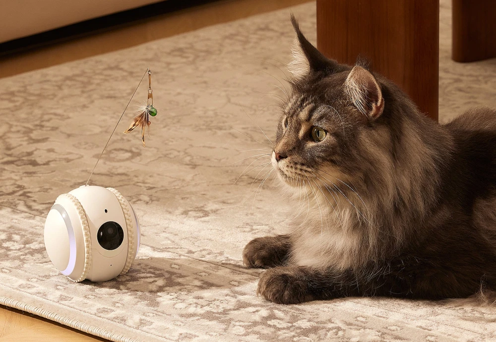 best at home pet camera