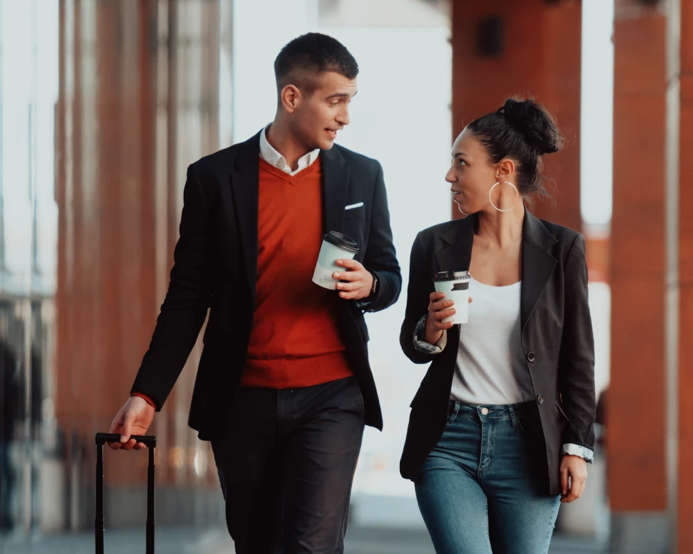 travel luggage trolley bag